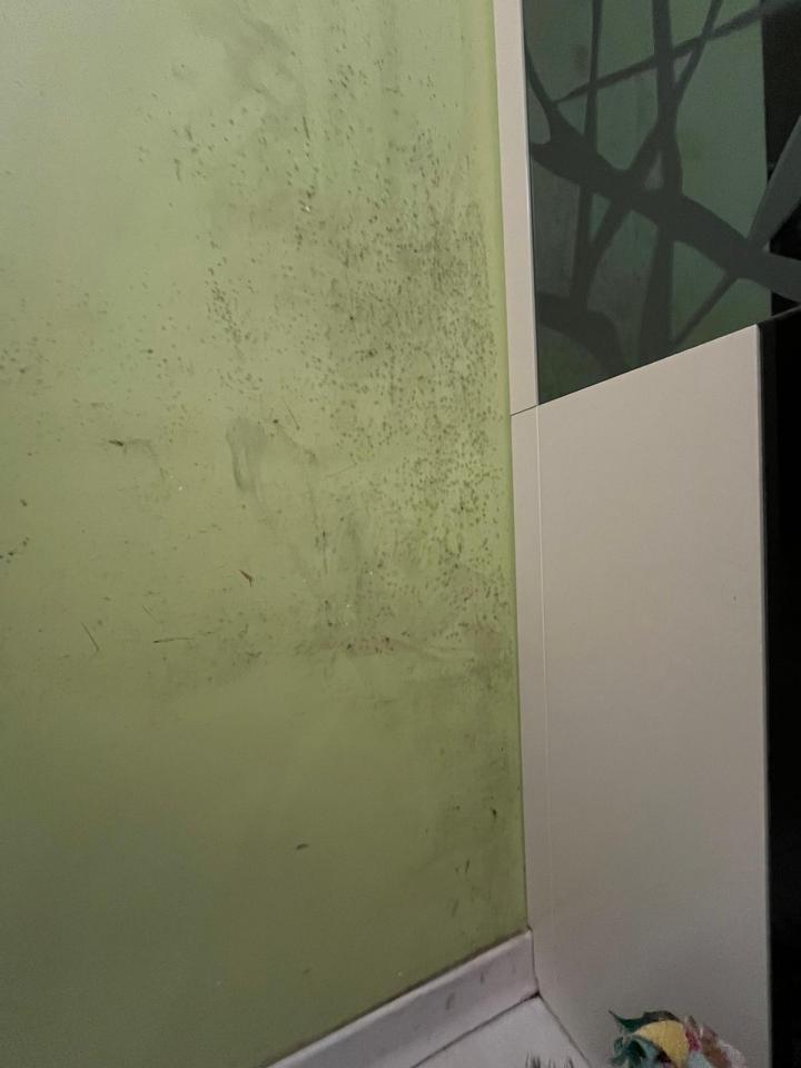 壁癌白華處理工作照片 壁癌白華處理工作照片