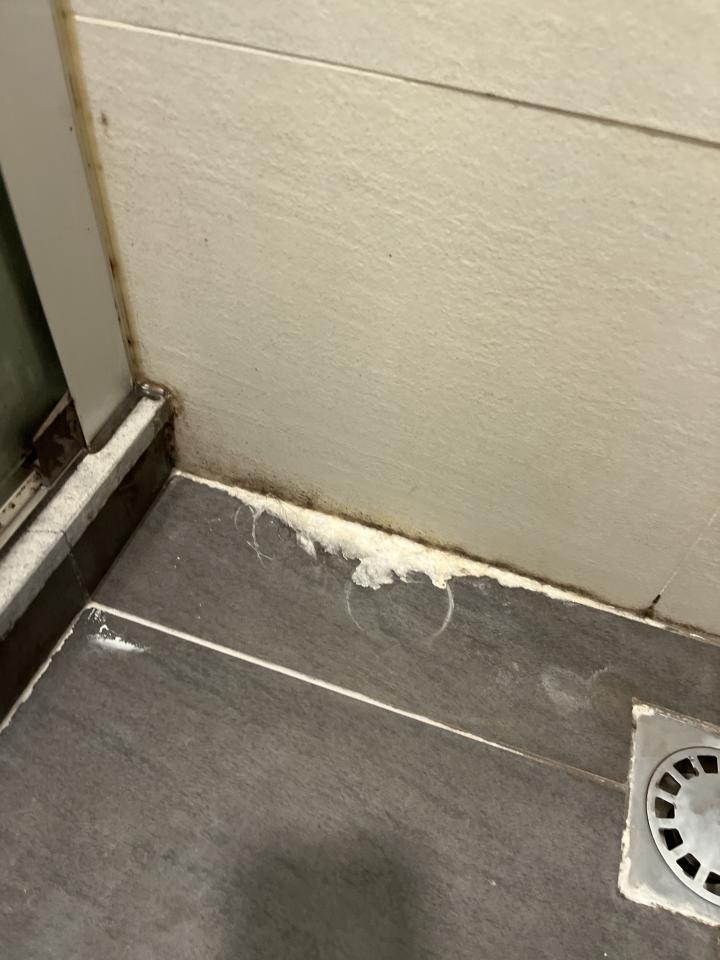 壁癌白華處理工作照片 壁癌白華處理工作照片