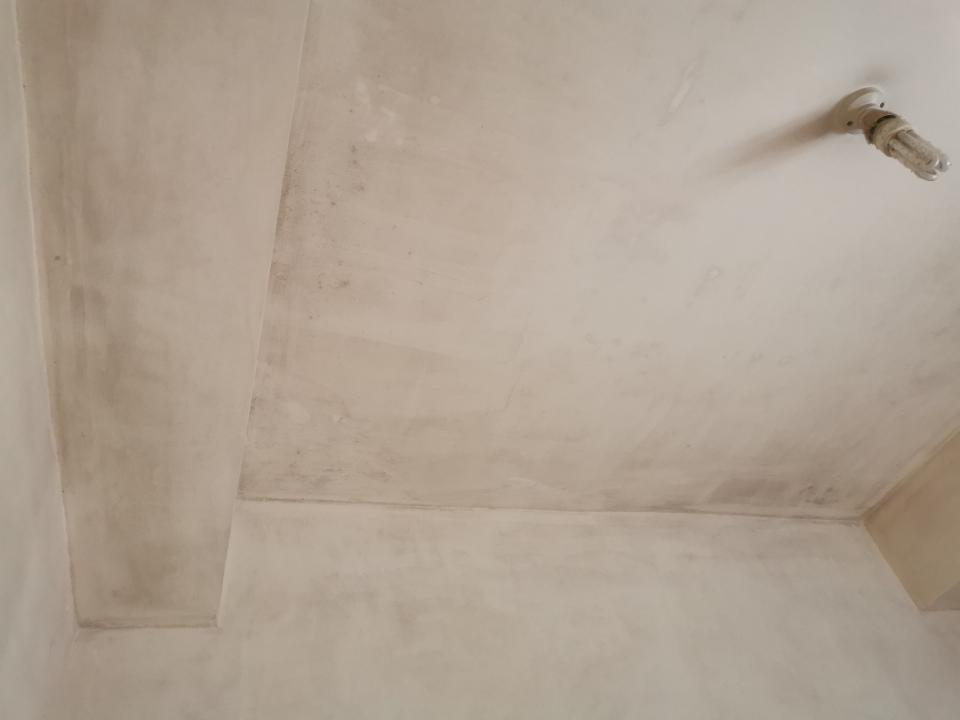除霉工作照片 除霉工作照片