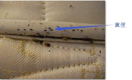 傑夫滅蟲有限公司 - 