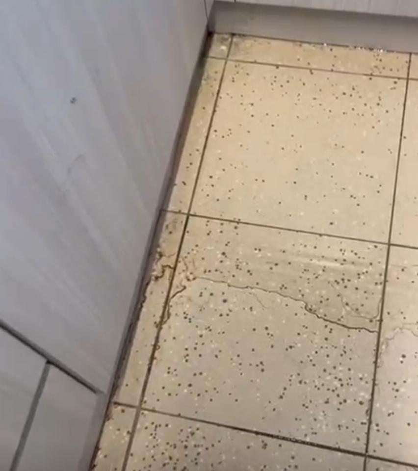 水喉水務工作照片 水喉水務工作照片