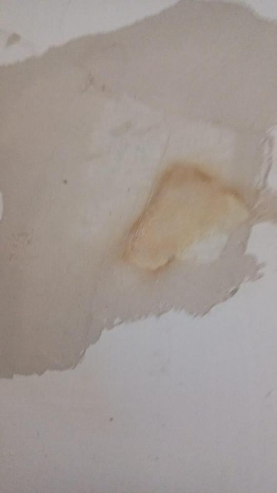 漏水測試工作照片