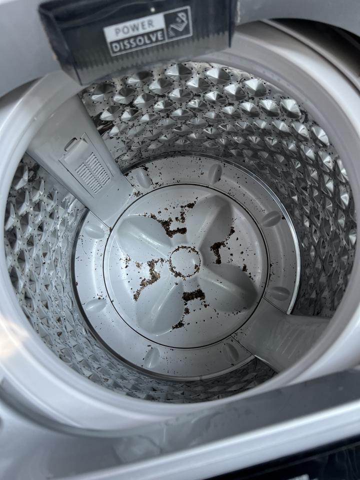 洗衣機清洗工作照片
