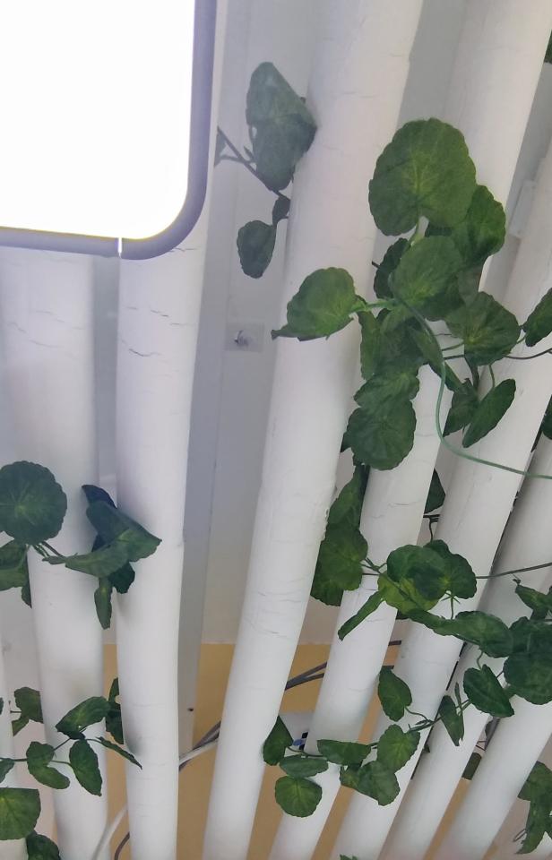 電工工作照片 電工工作照片