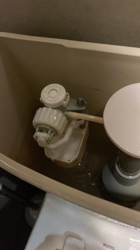 Toilet Installation & Repairjob photo