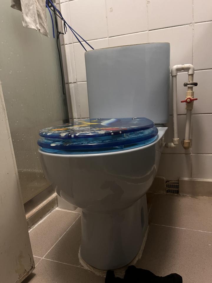 馬桶安裝工作照片