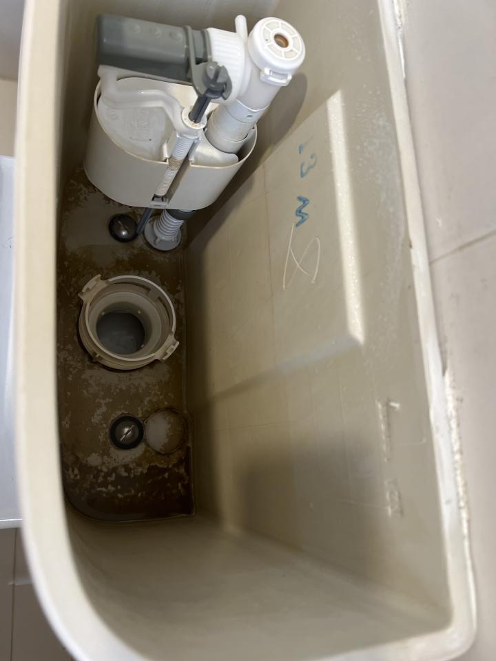 Toilet Installation & Repairjob photo Toilet Installation & Repairjob photo