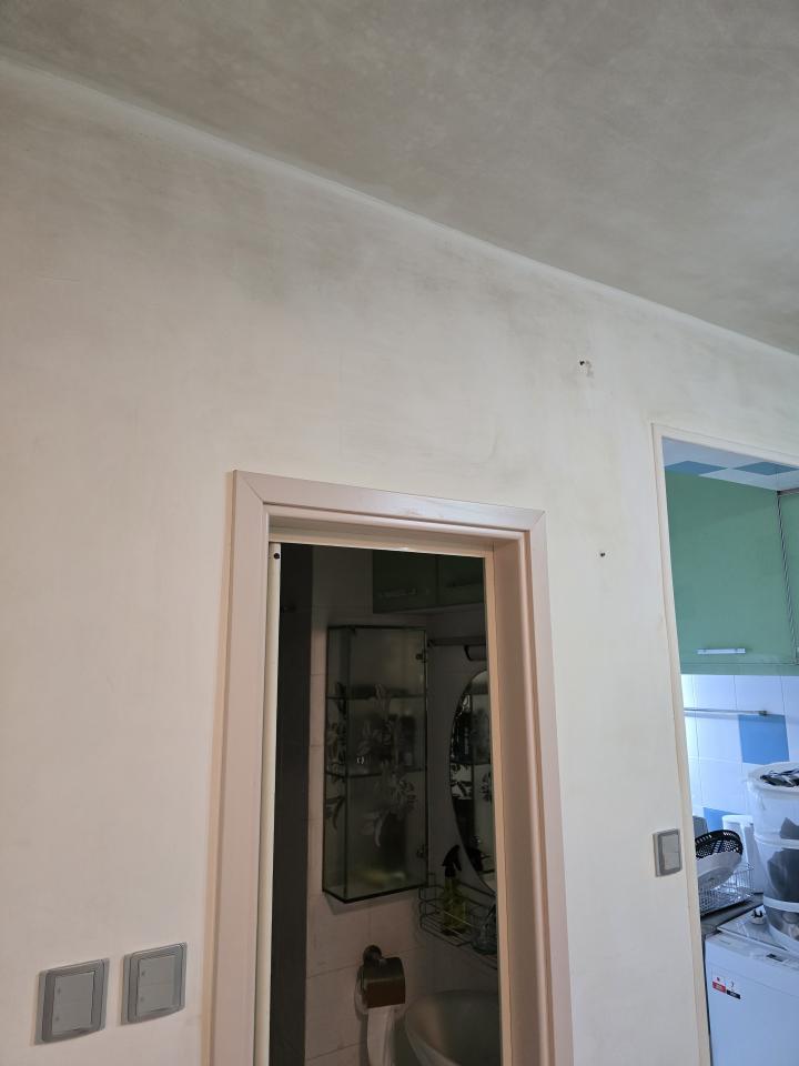 Wall PaintingJob photo