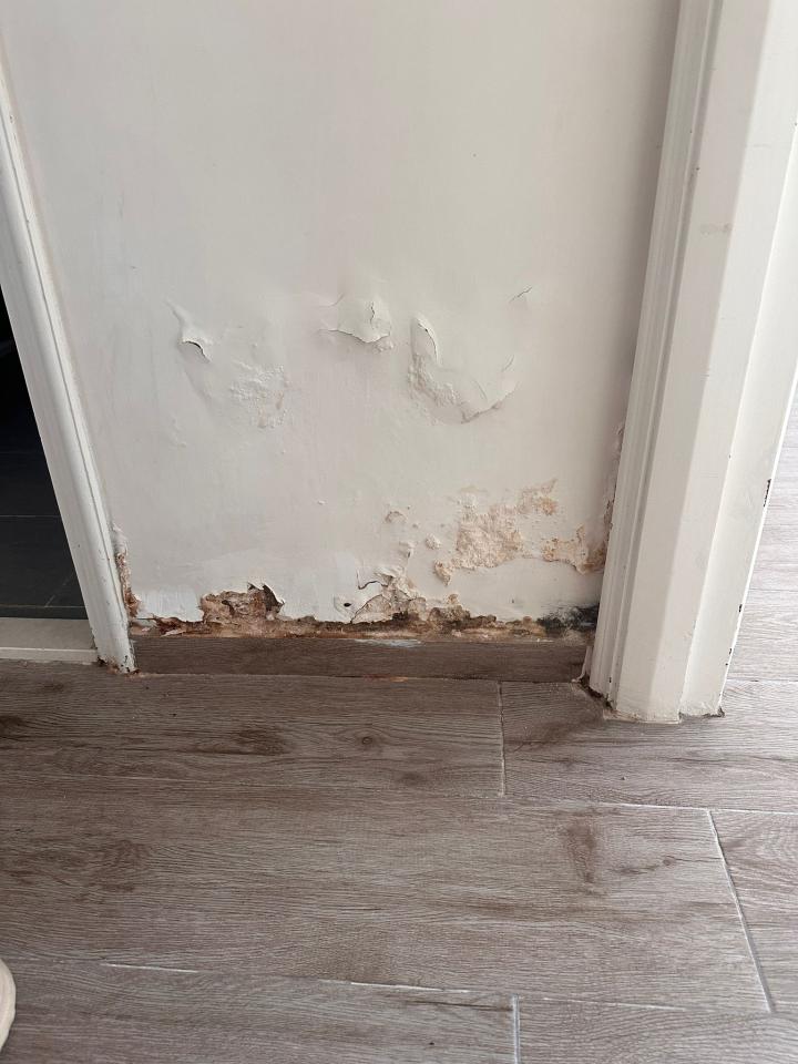 Water Leakage DetectionJob photo