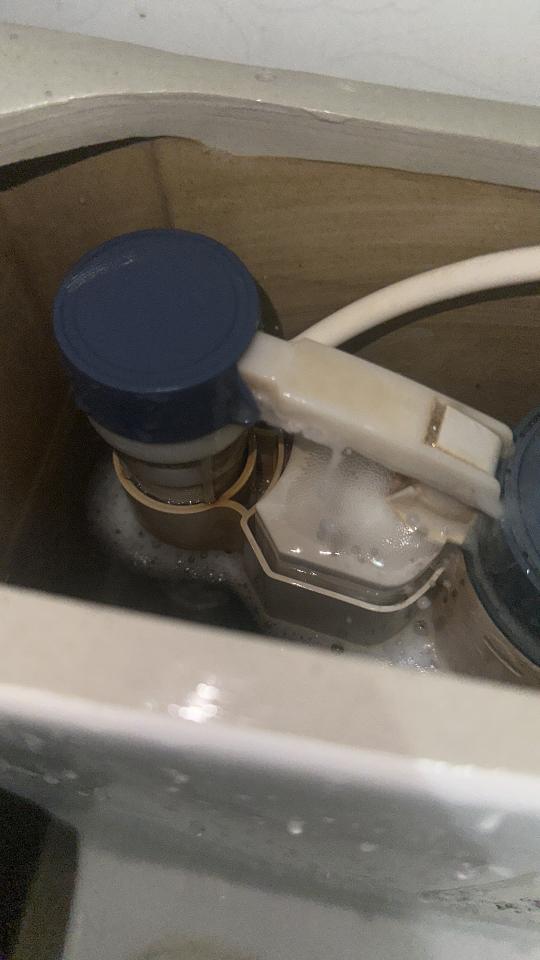Toilet Installation & RepairJob photo
