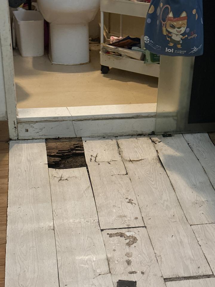 Flooring RepairJob photo