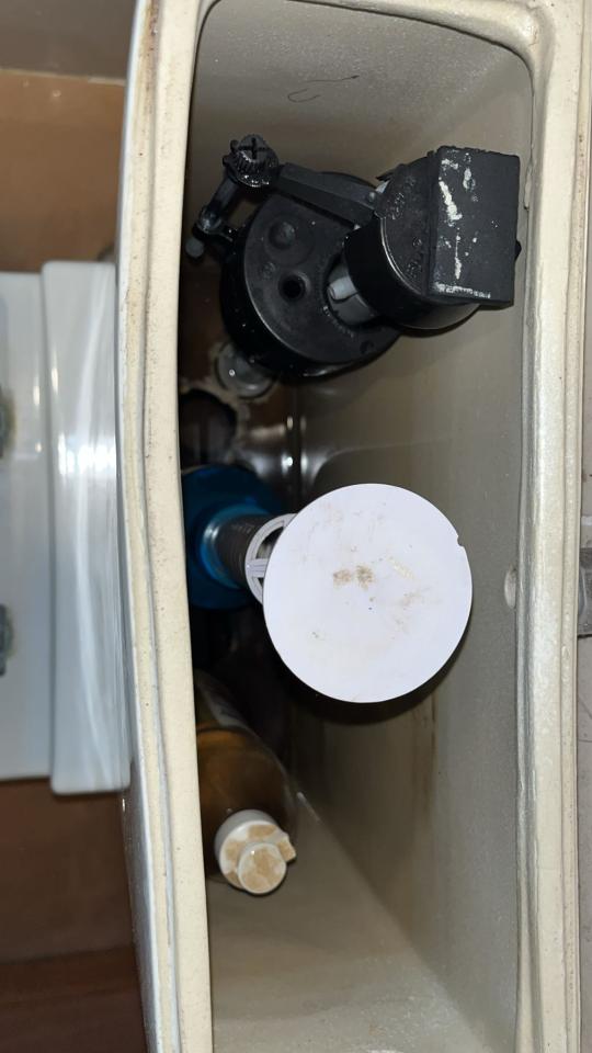 Toilet Installation & Repairjob photo