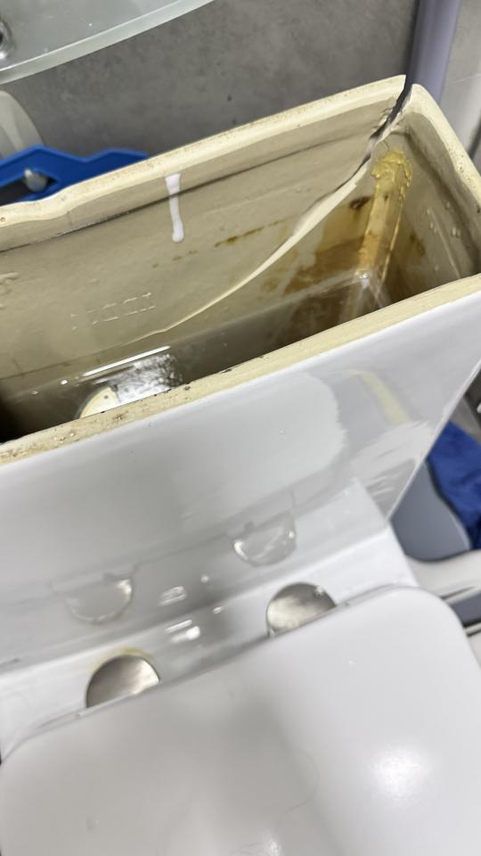 Toilet Installation & RepairJob photo