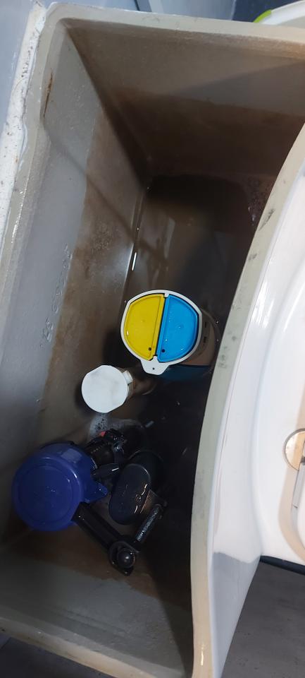 Toilet Installation & RepairJob photo