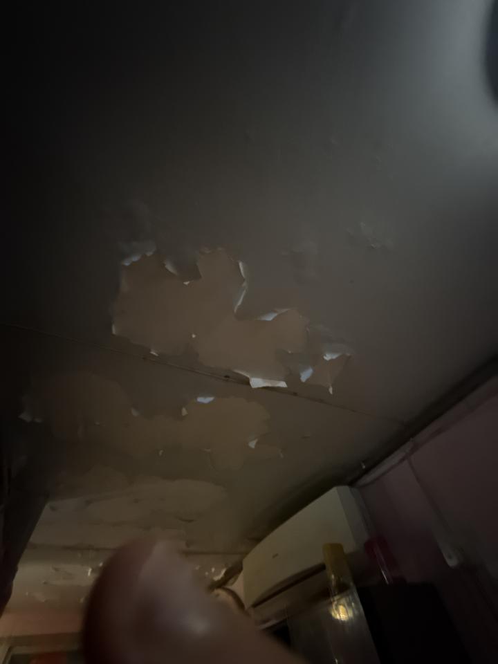 牆紙工程工作照片