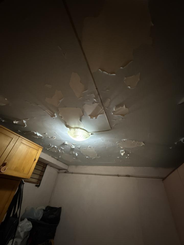 牆紙工程工作照片