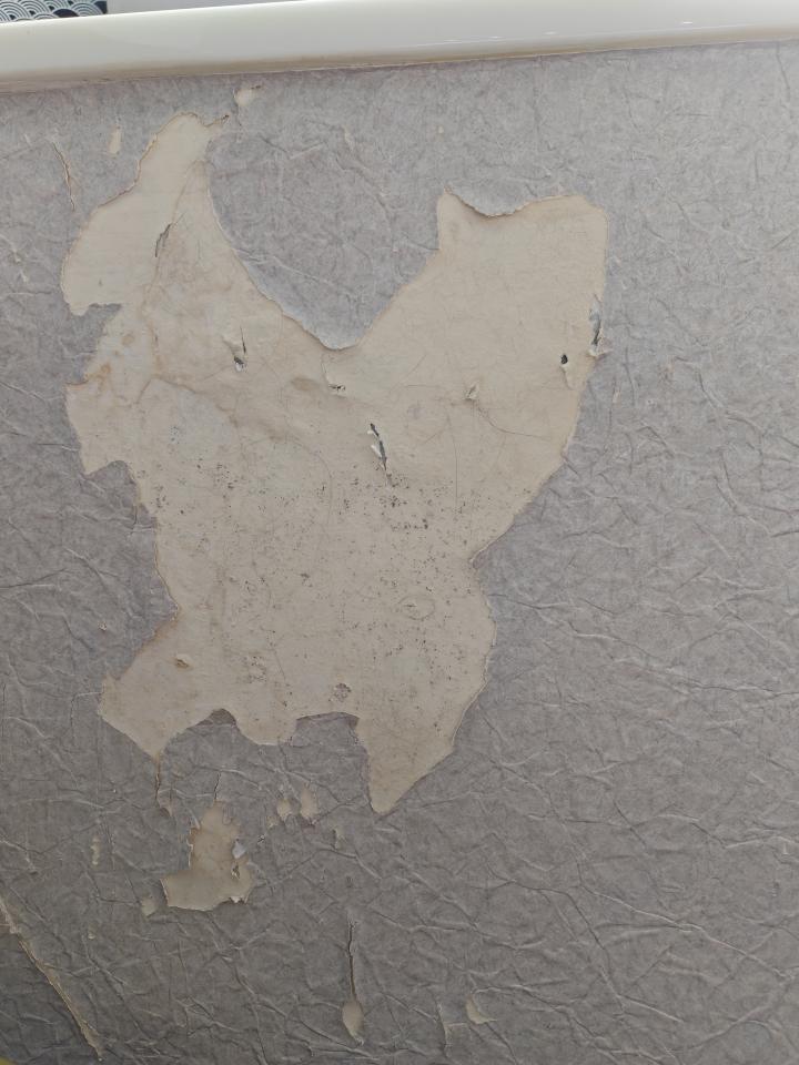 牆紙工程工作照片