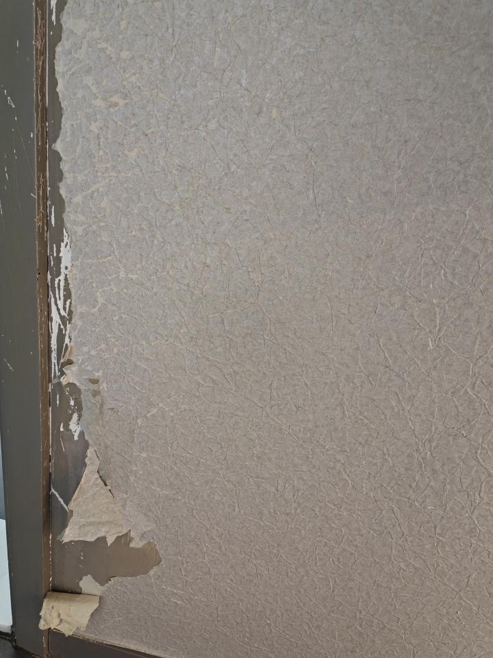 牆紙工程工作照片