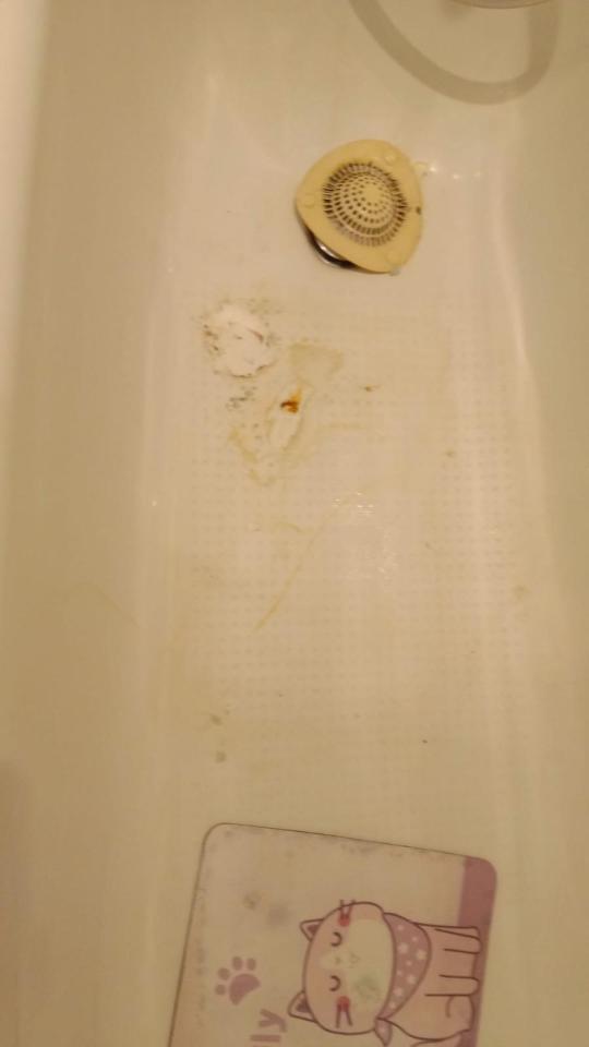 Bathroom RenovationJob photo