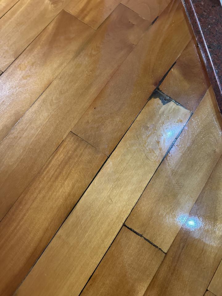 地板拋光打蠟工作照片