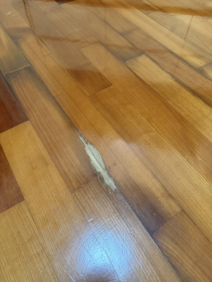 Flooring RepairJob photo