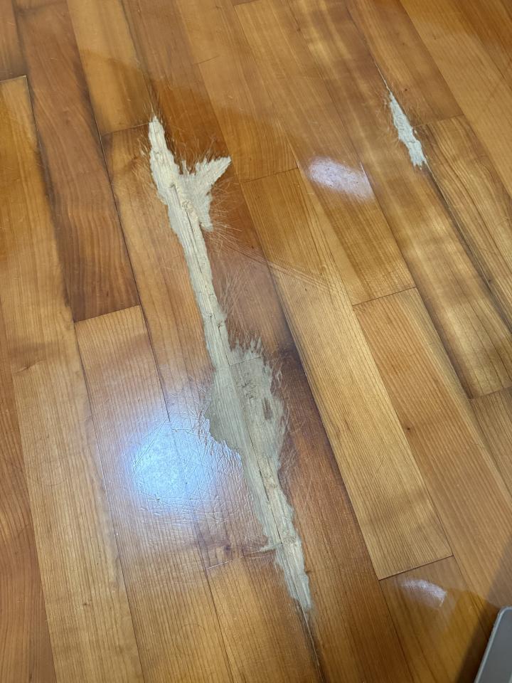 Flooring RepairJob photo