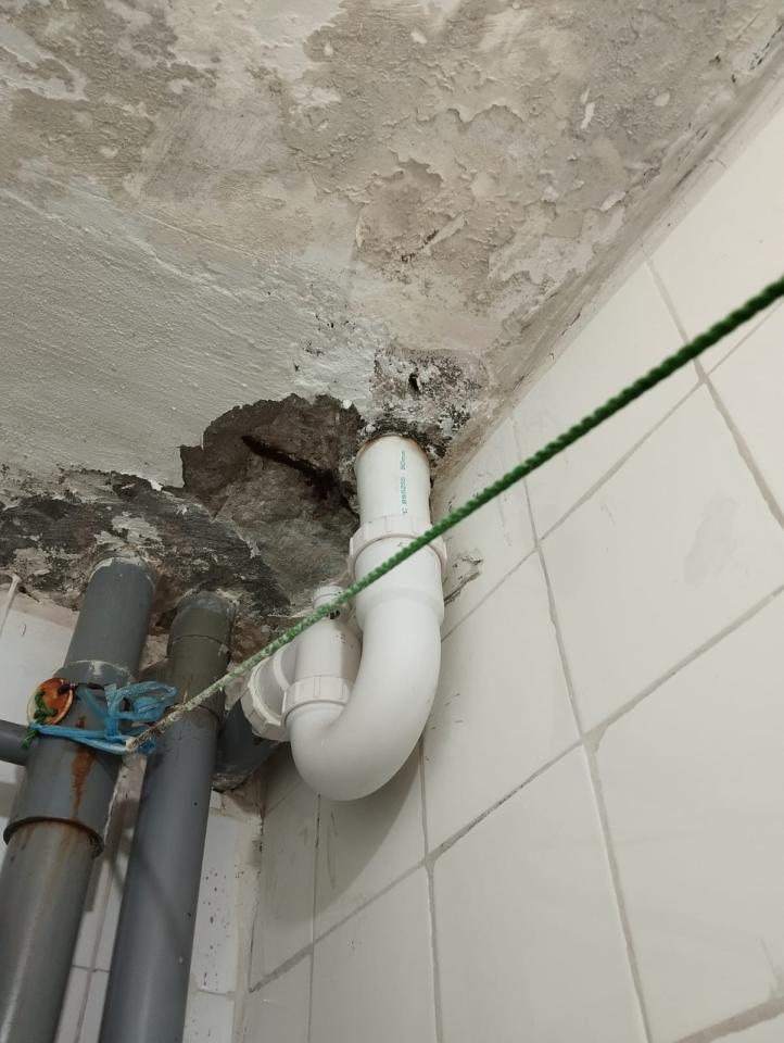 PlasterworkJob photo