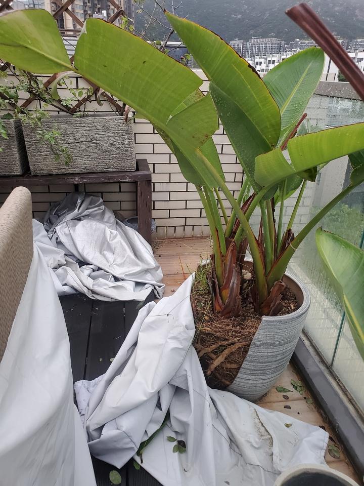Waste ManagementJob photo