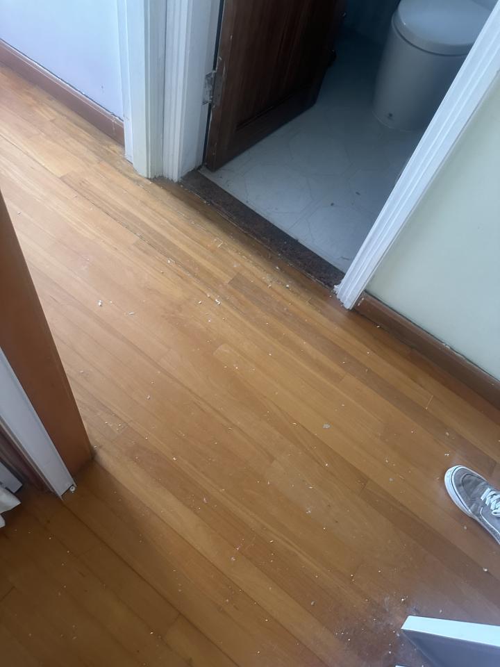 地板維修工作照片