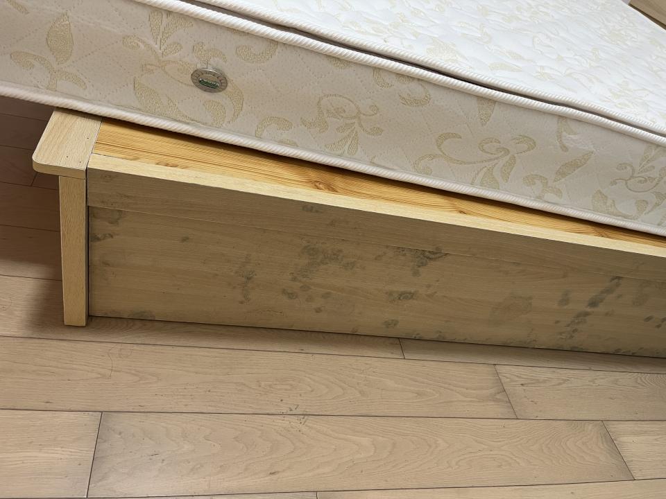 除霉工作照片