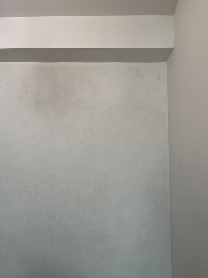 除霉工作照片