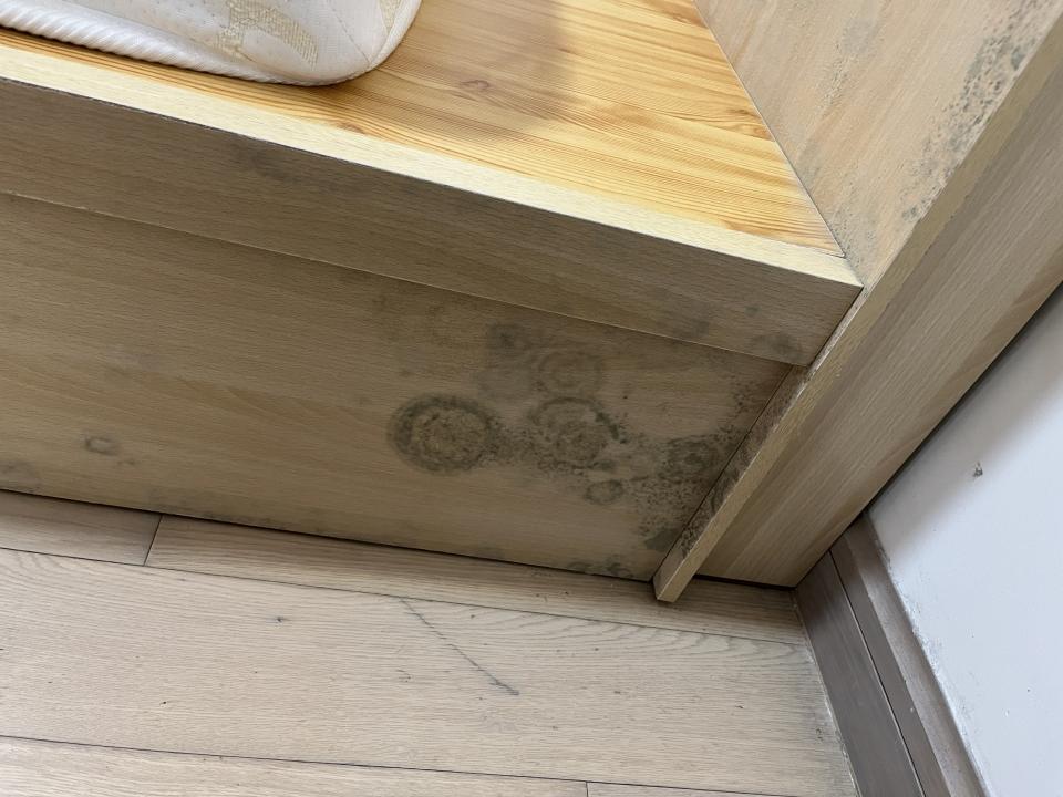 除霉工作照片