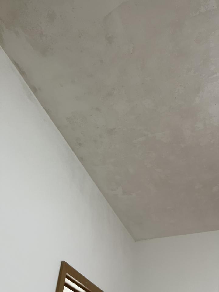 除霉工作照片