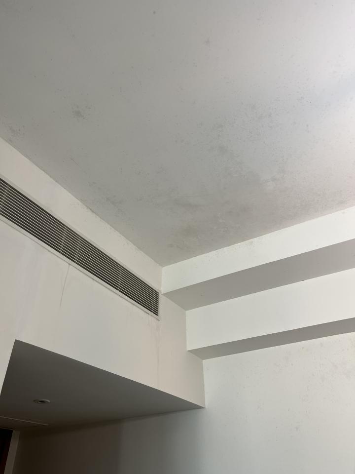除霉工作照片