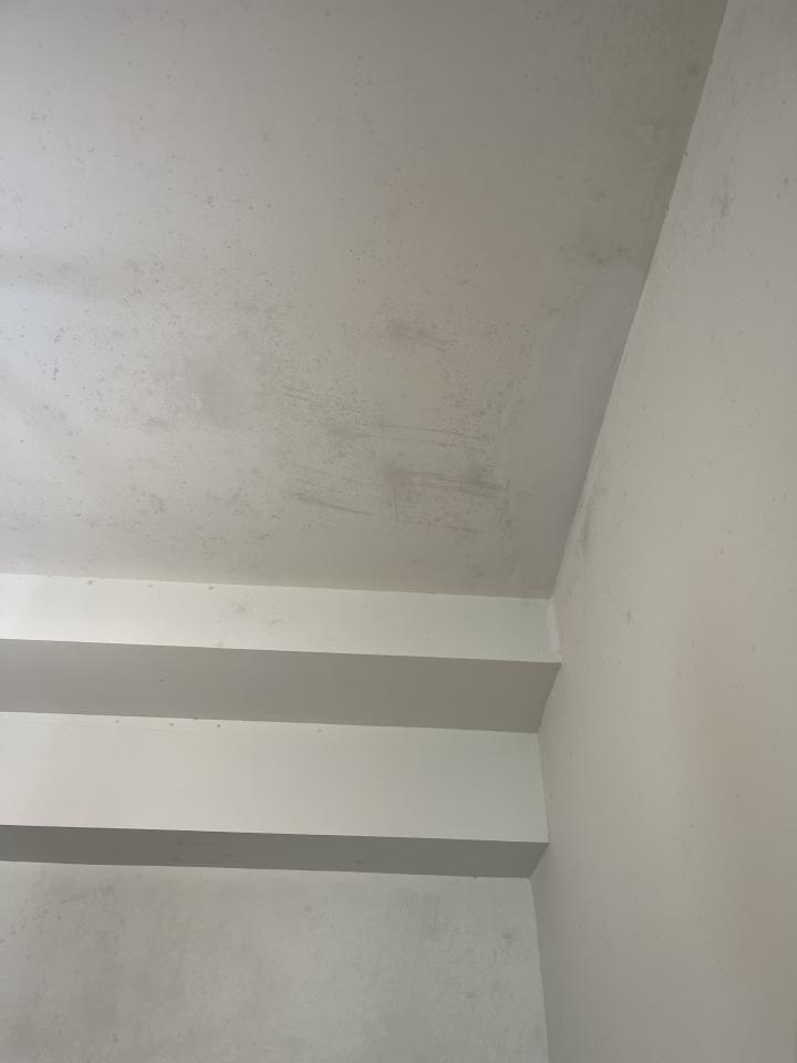 除霉工作照片