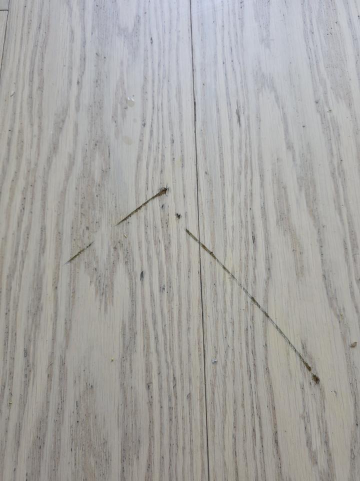 Flooring RepairJob photo