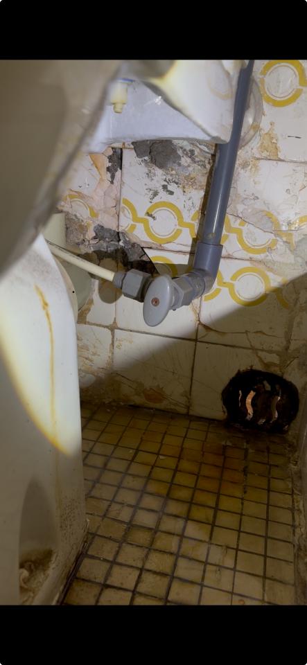 Toilet Installation & RepairJob photo