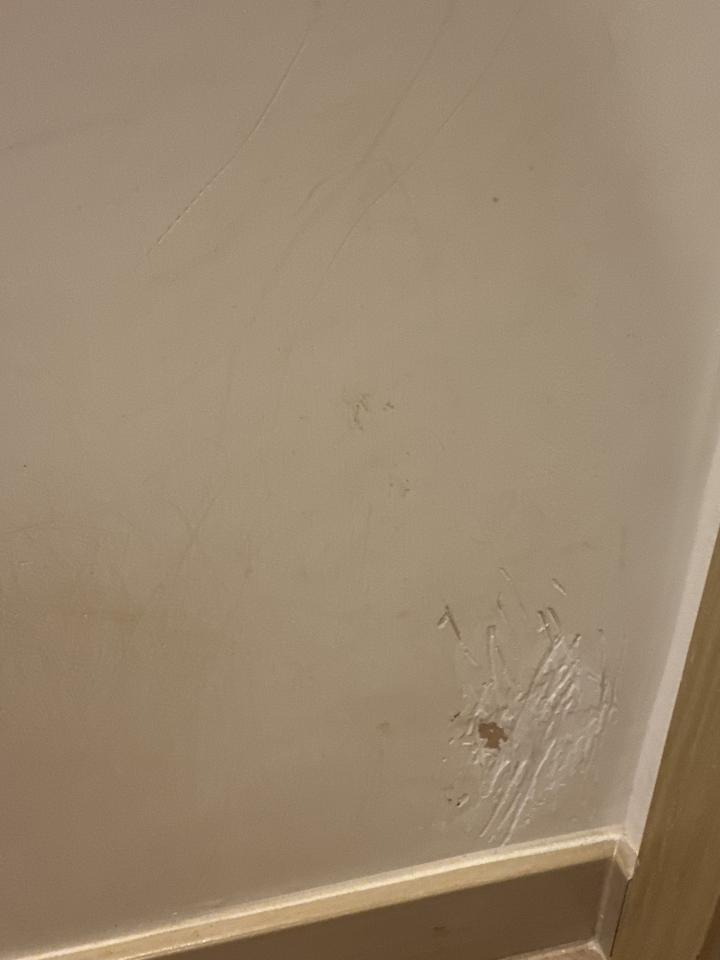 油漆工程工作照片