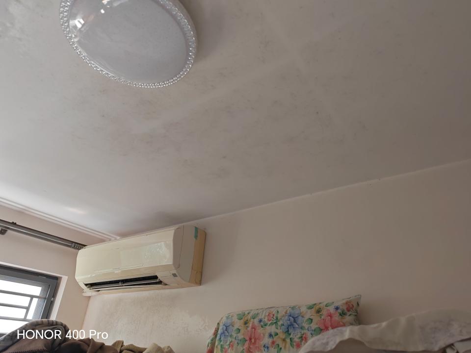 Wall PaintingJob photo