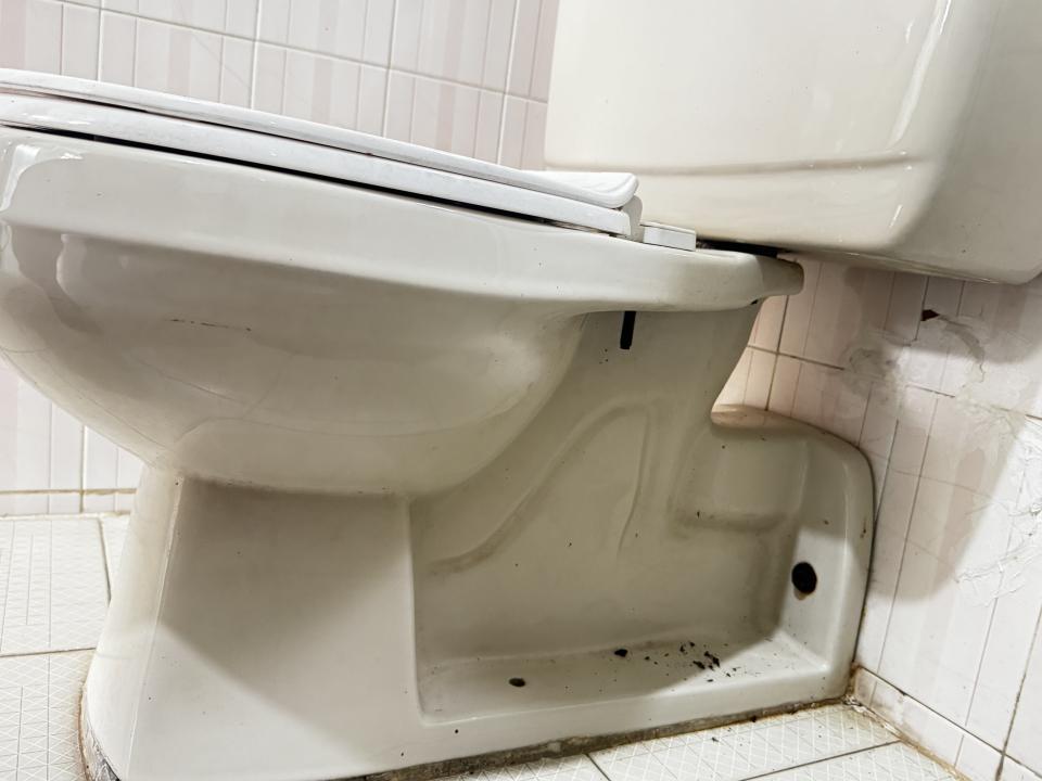 Toilet Installation & RepairJob photo