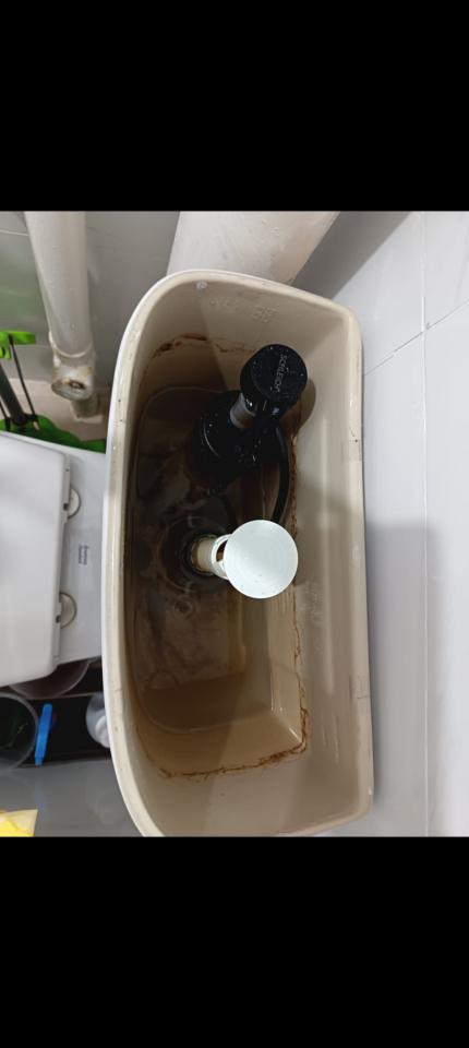 Toilet Installation & RepairJob photo