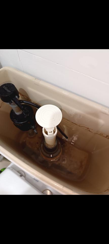 Toilet Installation & RepairJob photo