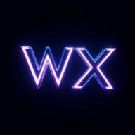 WireX AI
