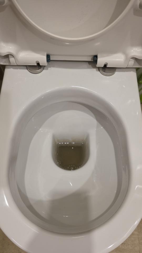 馬桶安裝工作照片