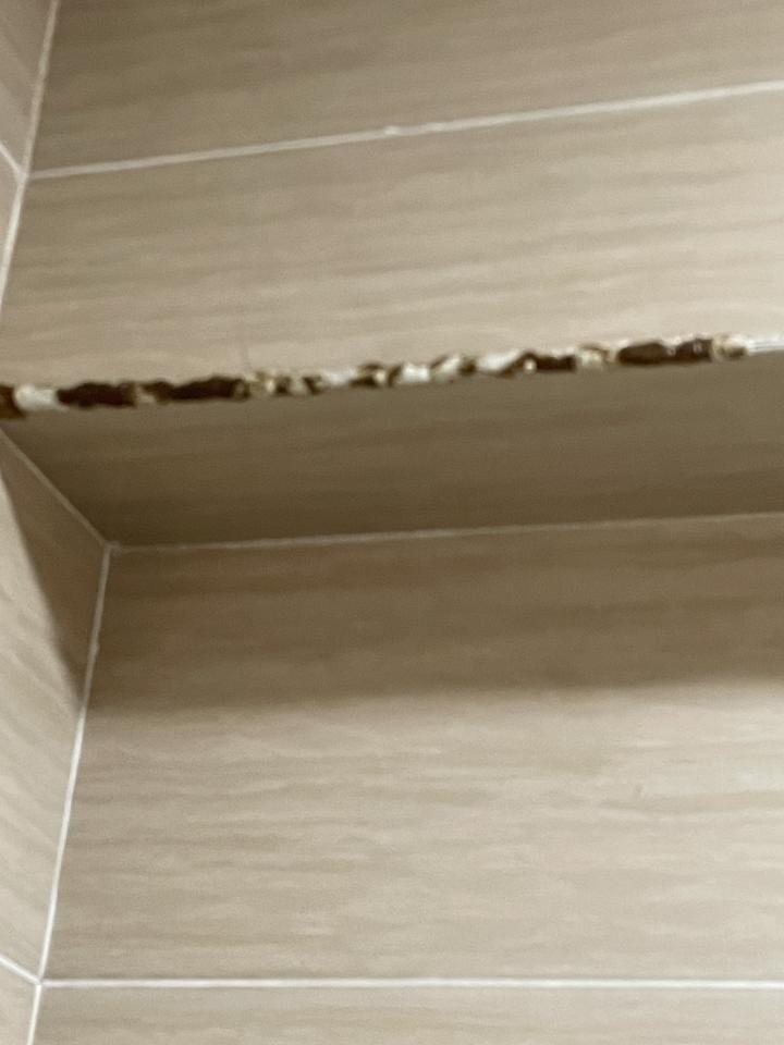 Tile RepairJob photo
