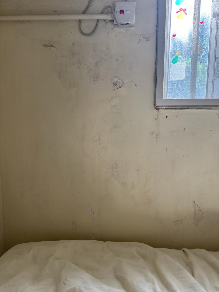 Wall PaintingJob photo