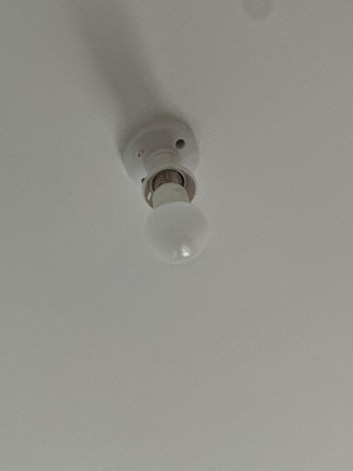 燈飾維修工作照片