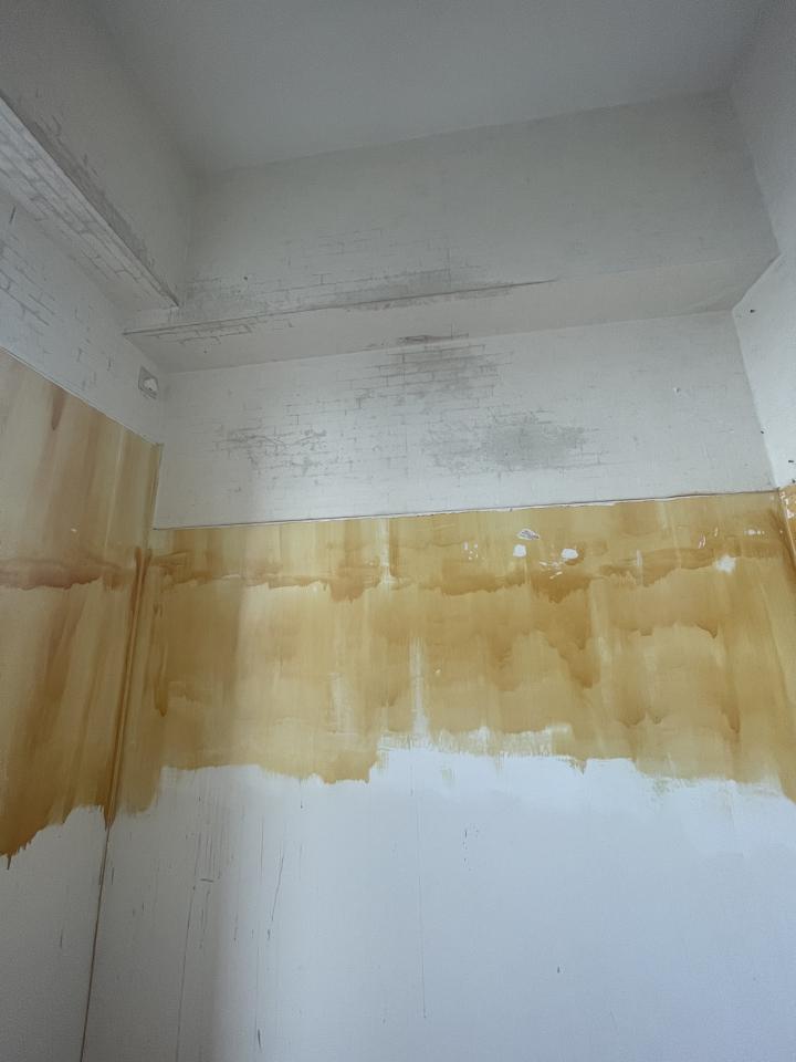 Wall PaintingJob photo