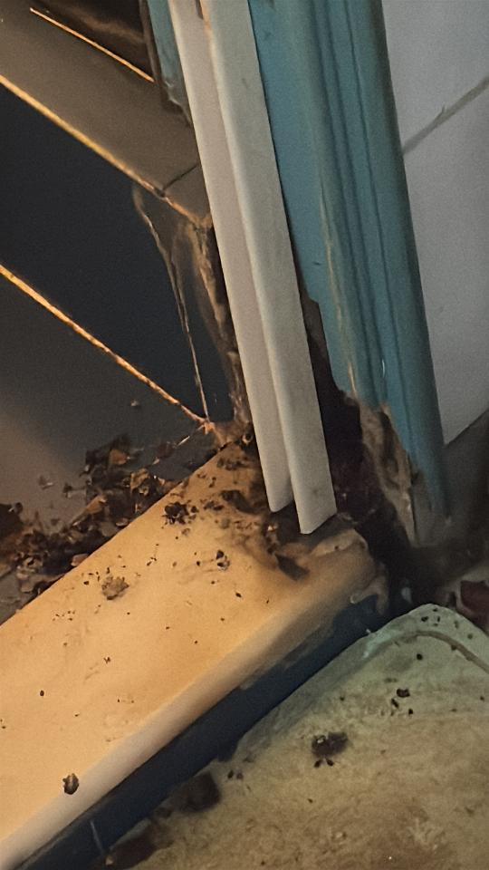 Front Door Install & Repair Job photo