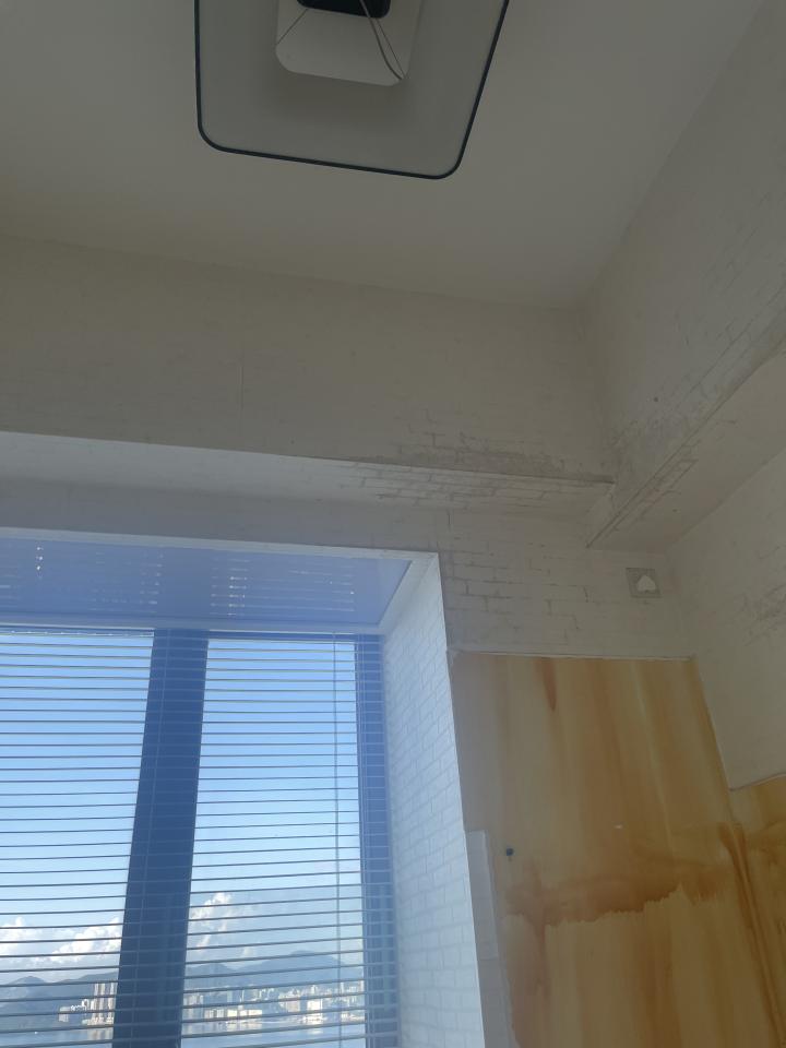 Wall PaintingJob photo